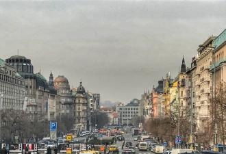 Лебеди в Праге и их рыжие друзья (видео) Лебеди в Праге: интересные факты